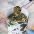 Yerba Mate - Blend Cítrico